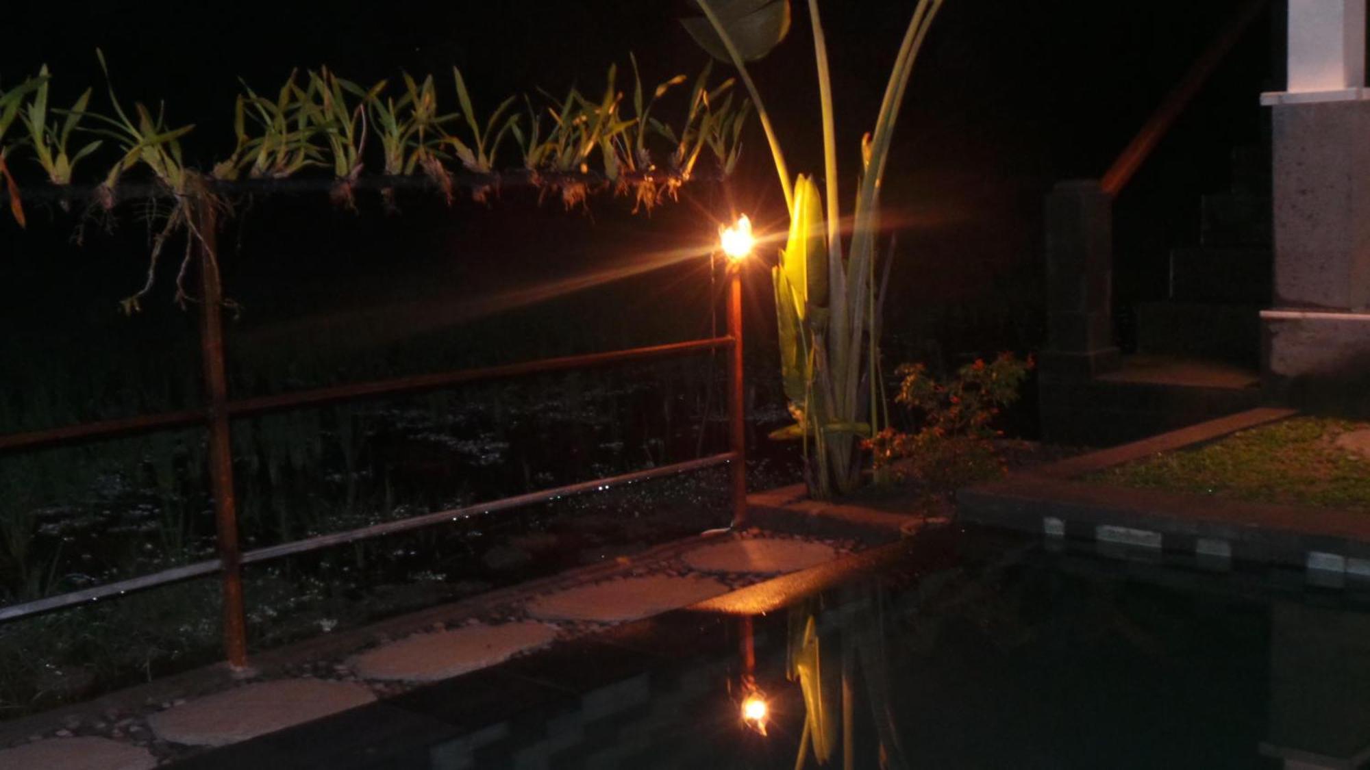 Villa Kemuning Tegallalang  Rom bilde