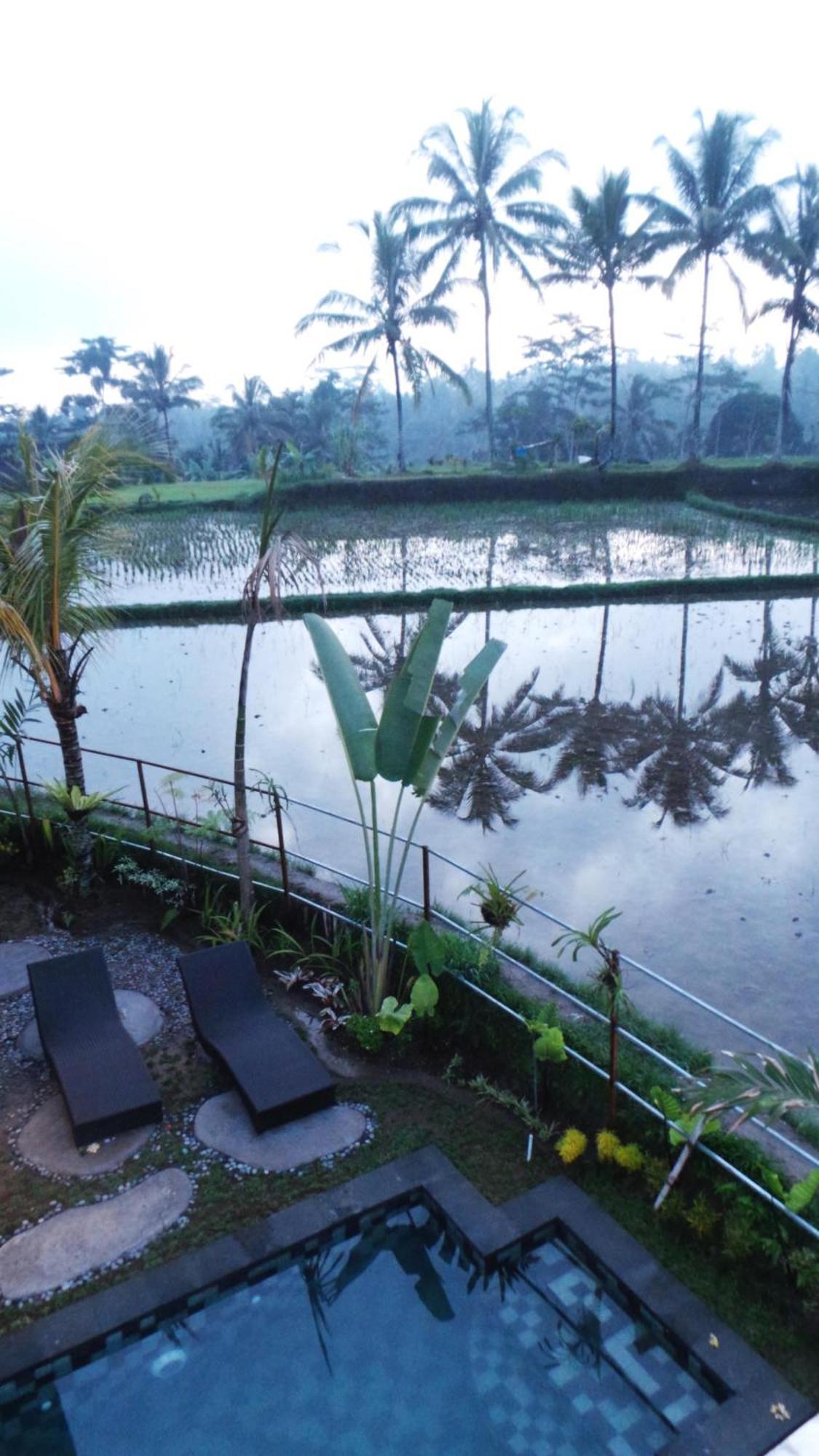 Villa Kemuning Tegallalang  Rom bilde